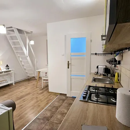 Apartament Dwupoziomowy Z Kominkiem Zielona Gora  Exterior photo