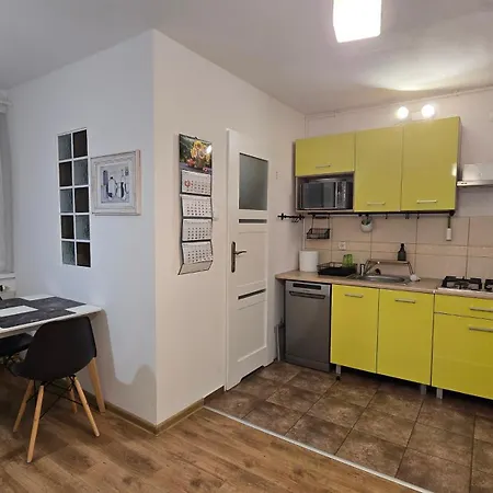 Apartament Dwupoziomowy Z Kominkiem Zielona Gora  Exterior photo