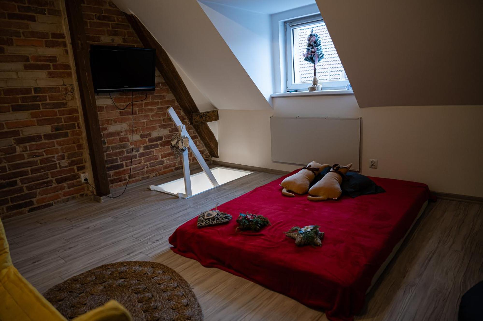 Dwupoziomowy Z Kominkiem Apartment Zielona Gora (Lubuskie)