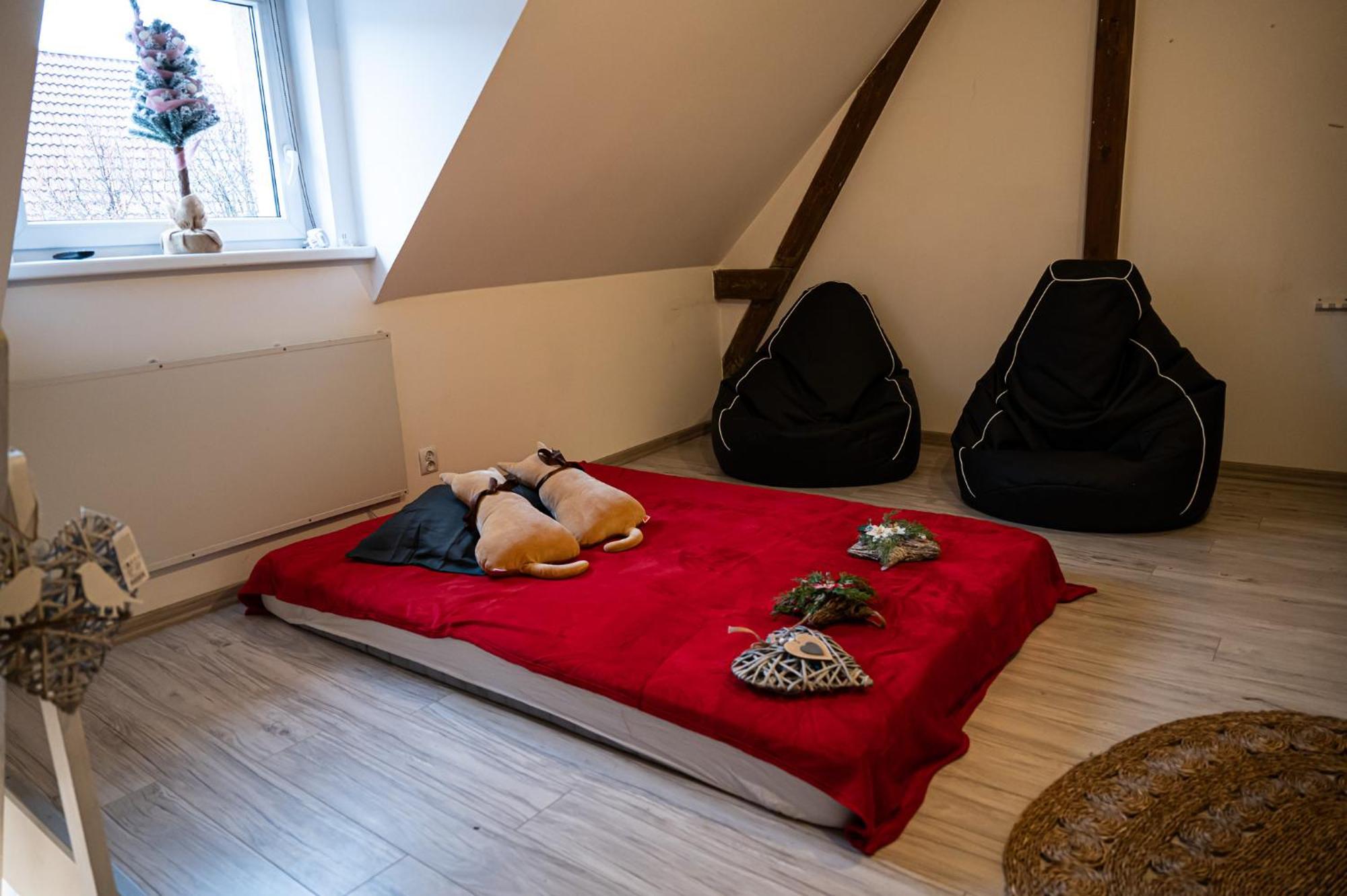 Apartment Dwupoziomowy Z Kominkiem Zielona Gora (Lubuskie)